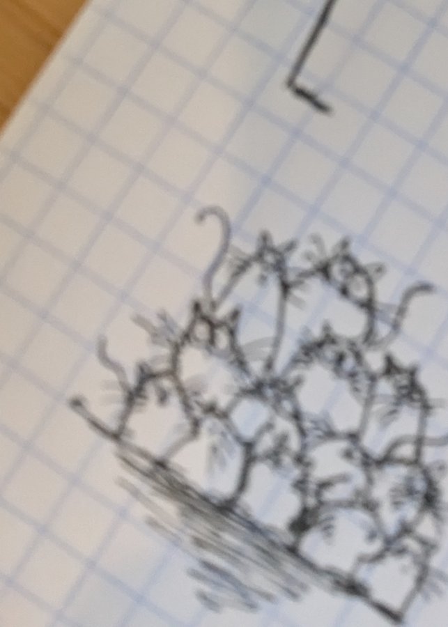 sketch